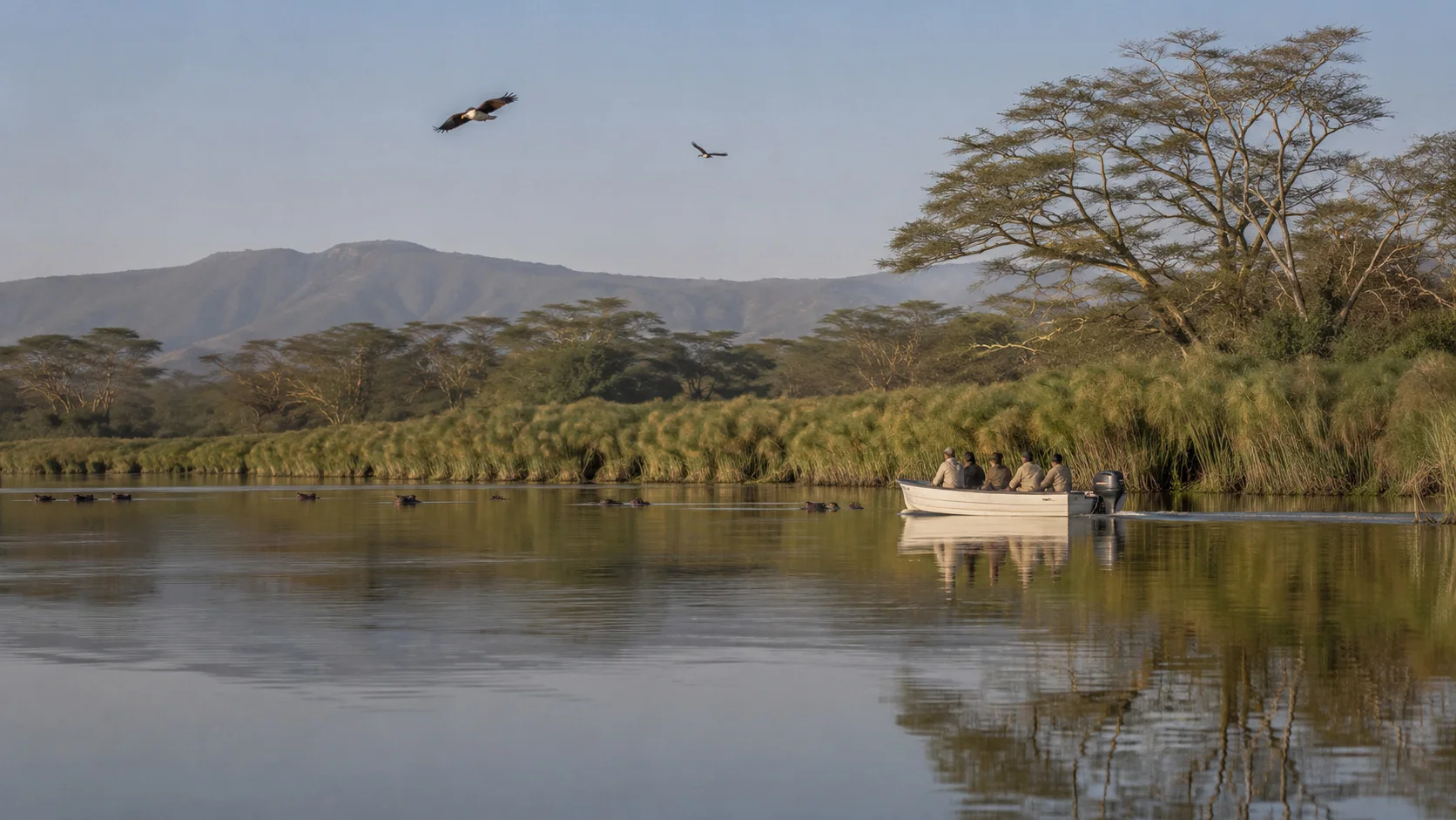 Lake naivasha boat safari