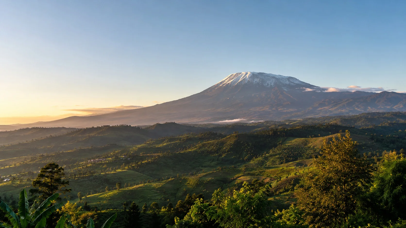 Kilimanjaro foothills