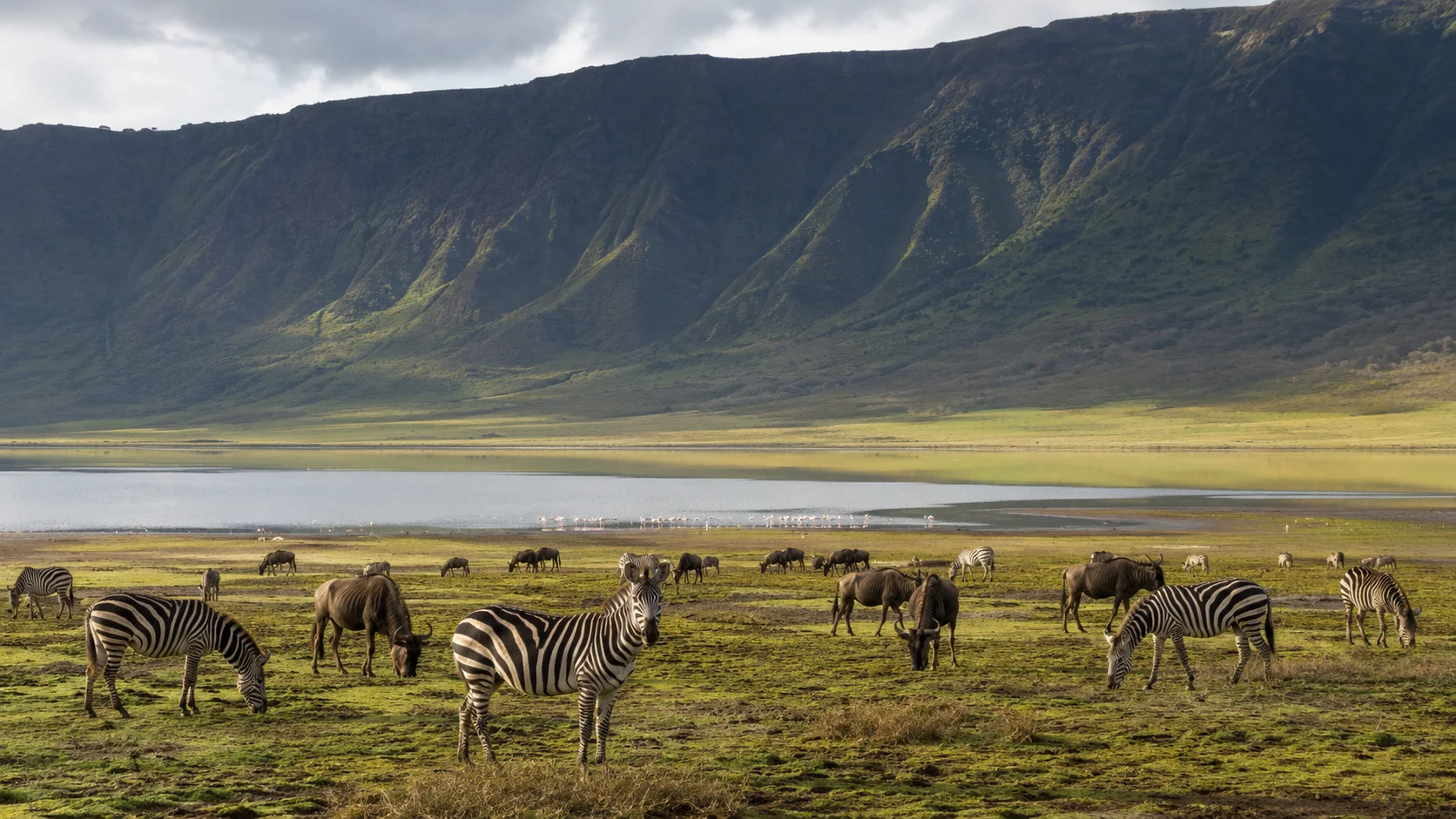 Ngorongoro crater floor