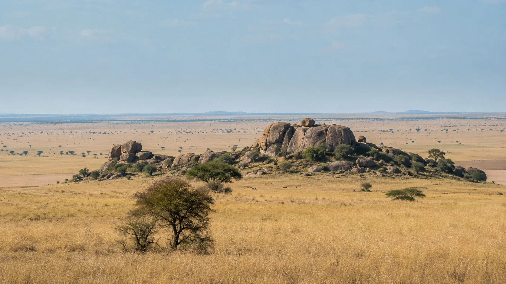 Central serengeti kopje plains