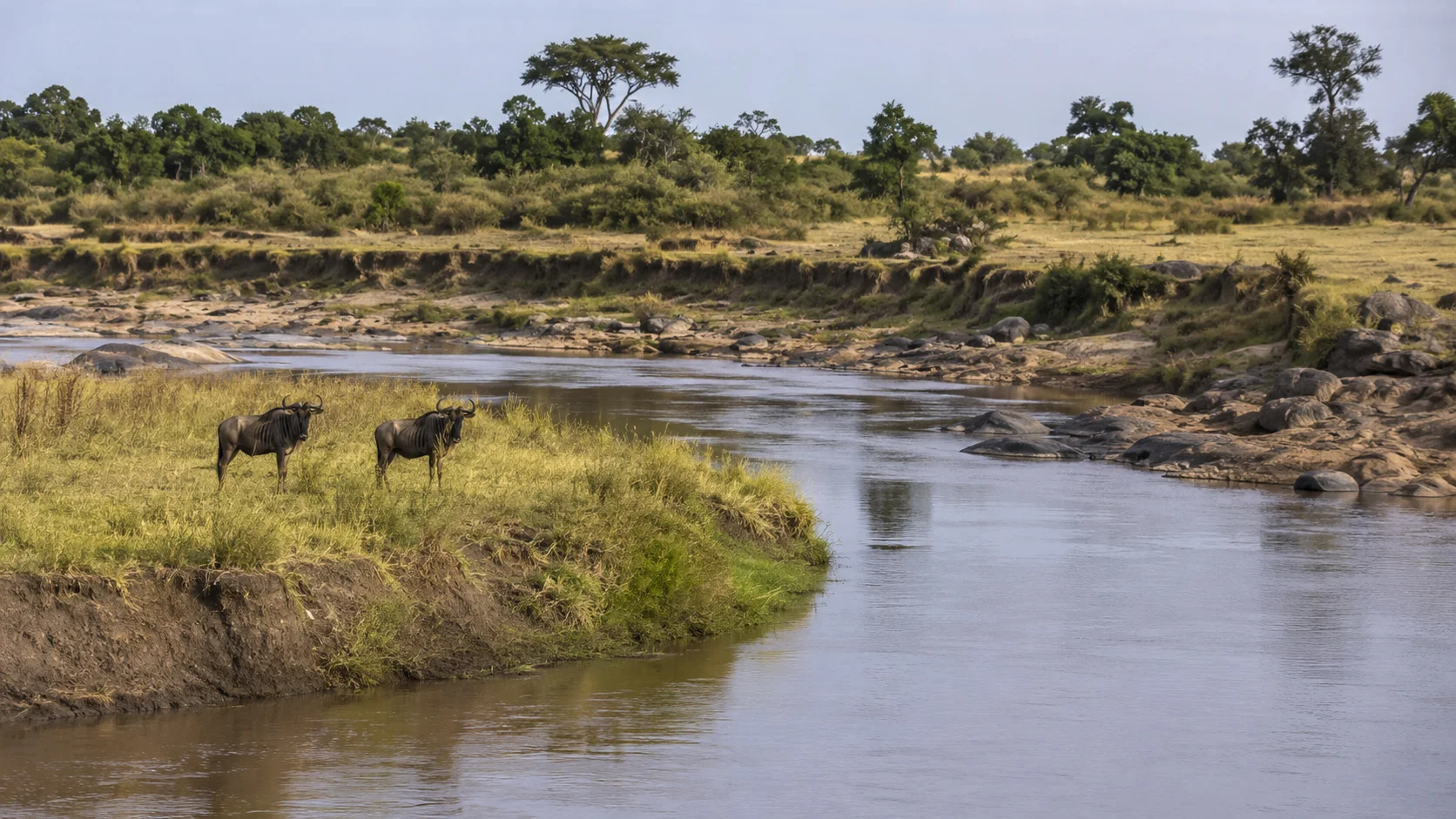 Northern serengeti mara river country