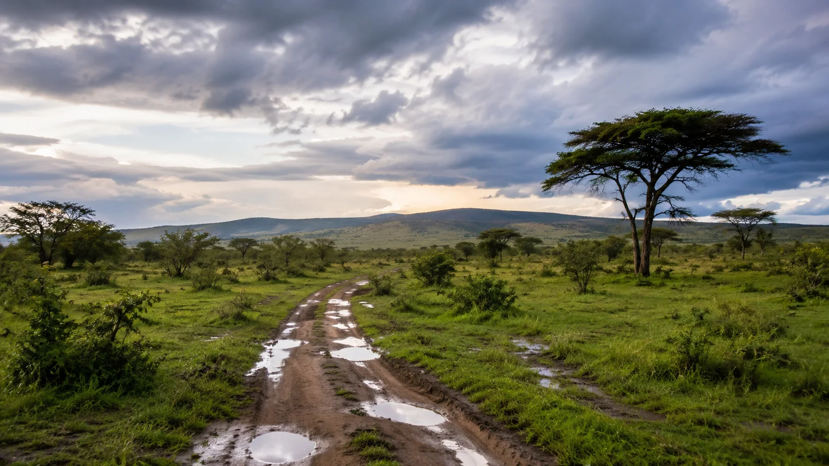 Kenya safari track after rain