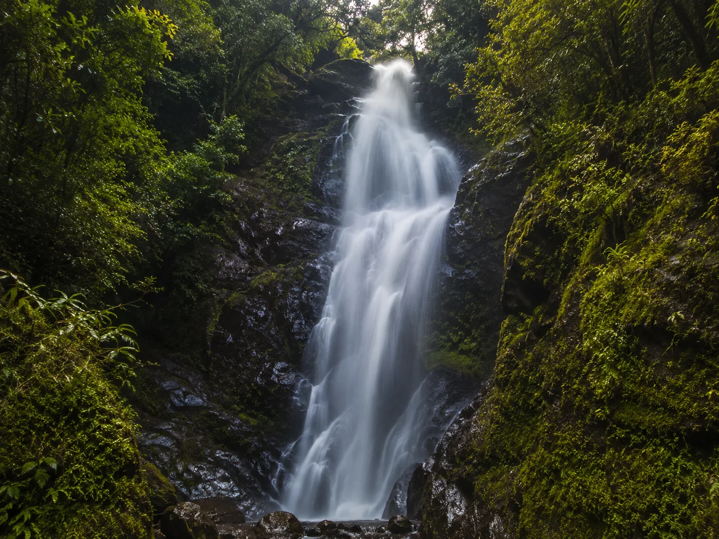 Aberdare forest waterfall