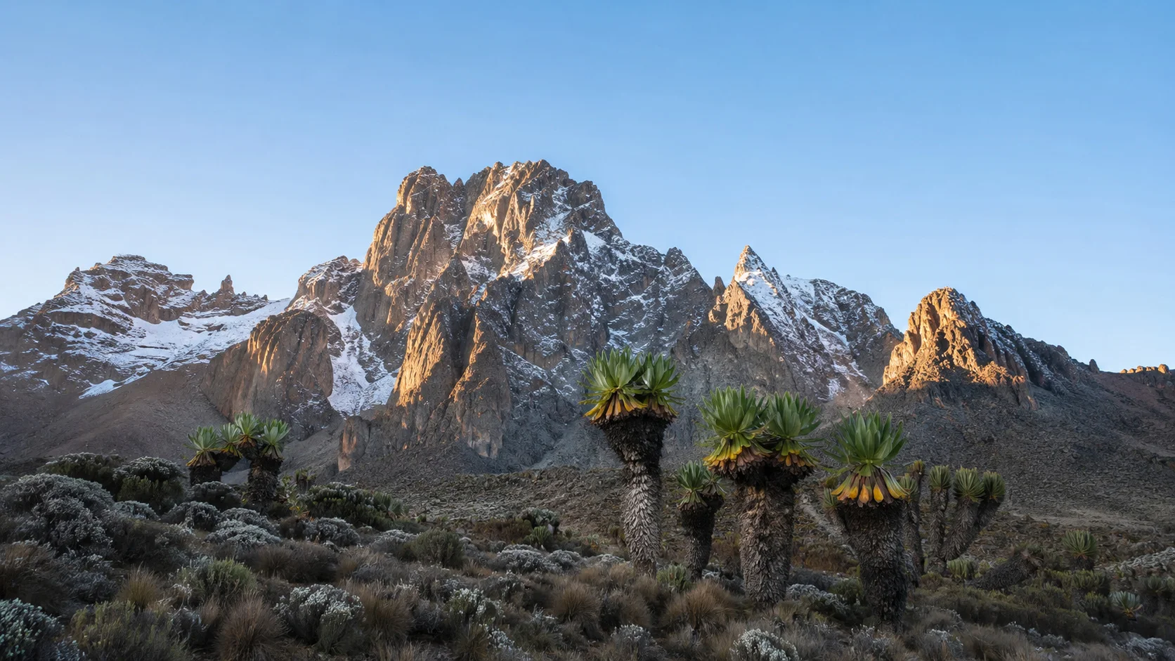 Mount kenya alpine light